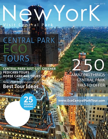 central park bike taxi tours