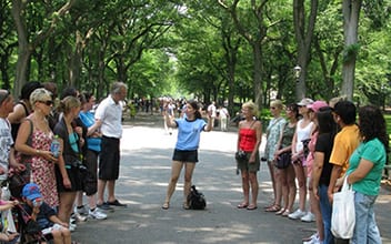 central park bike taxi tours