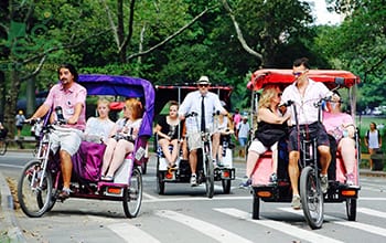 central park buggy tours