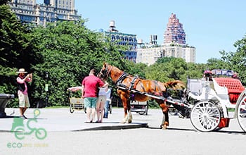 Eco Central Park Tours | Pedicab, Horse &amp; Carriage and Bike Tours